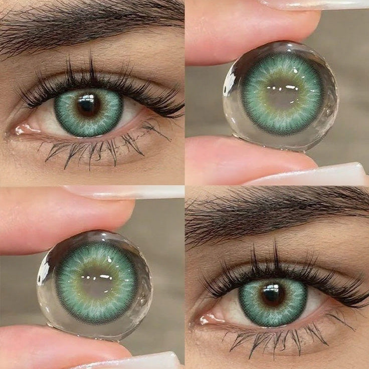 Floralis Green | 1 Year