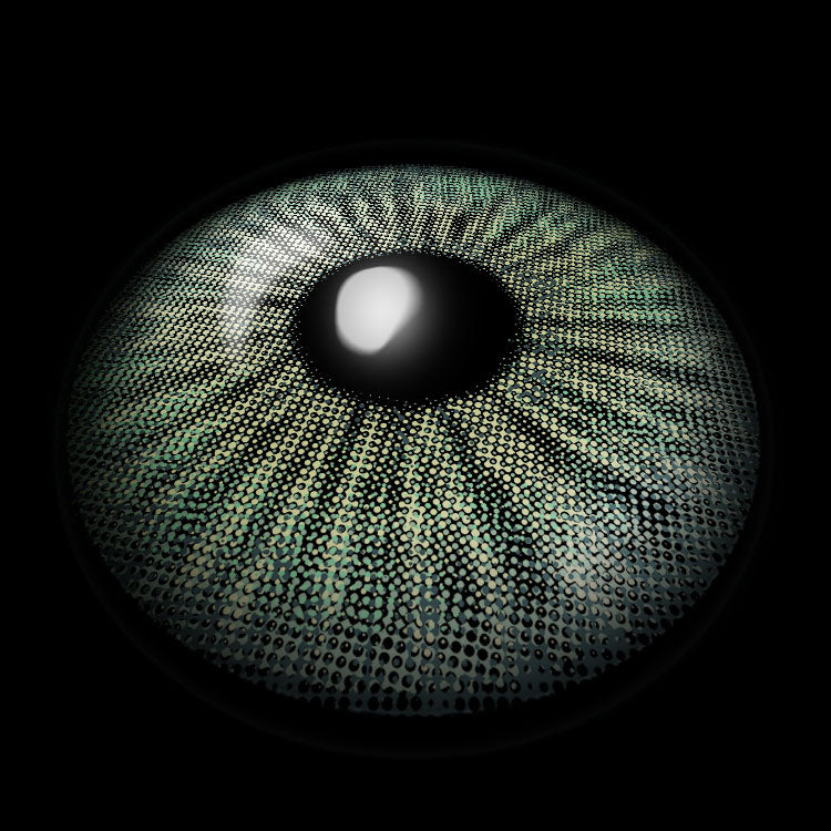 Wildness Wolf Green | 6 Months