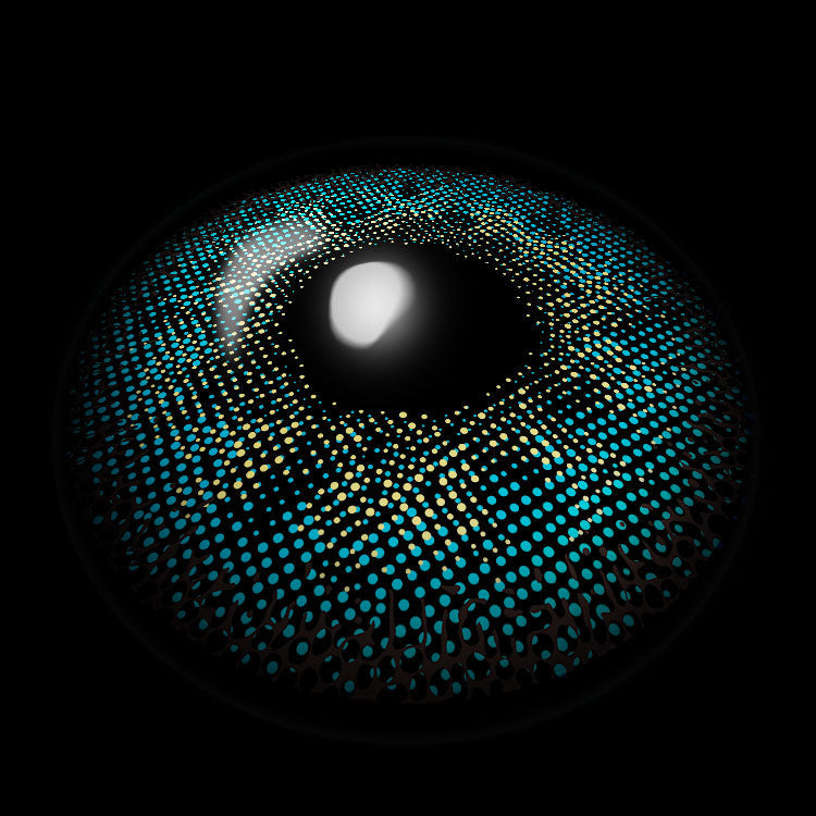 NASA Blue | 6 Months