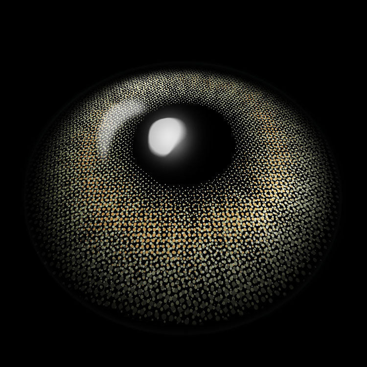 Moonbeam Green-Gy | 6 Months