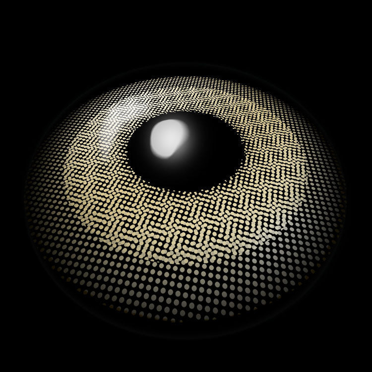 Pixel Brown | 6 Months