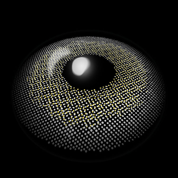 Pixel Gray | 6 Months