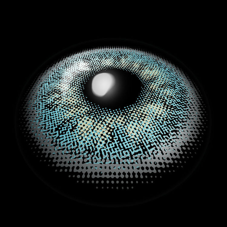 Rhone Blue | 6 Months