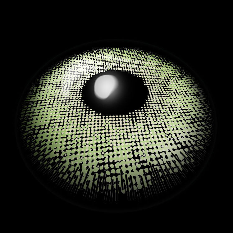 Ocean Green | 6 Months