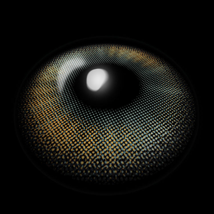 Topaz Gray | 6 Months