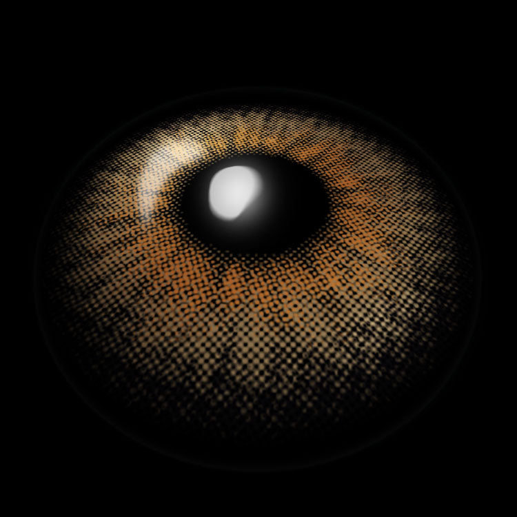 Field Brown | 6 Months