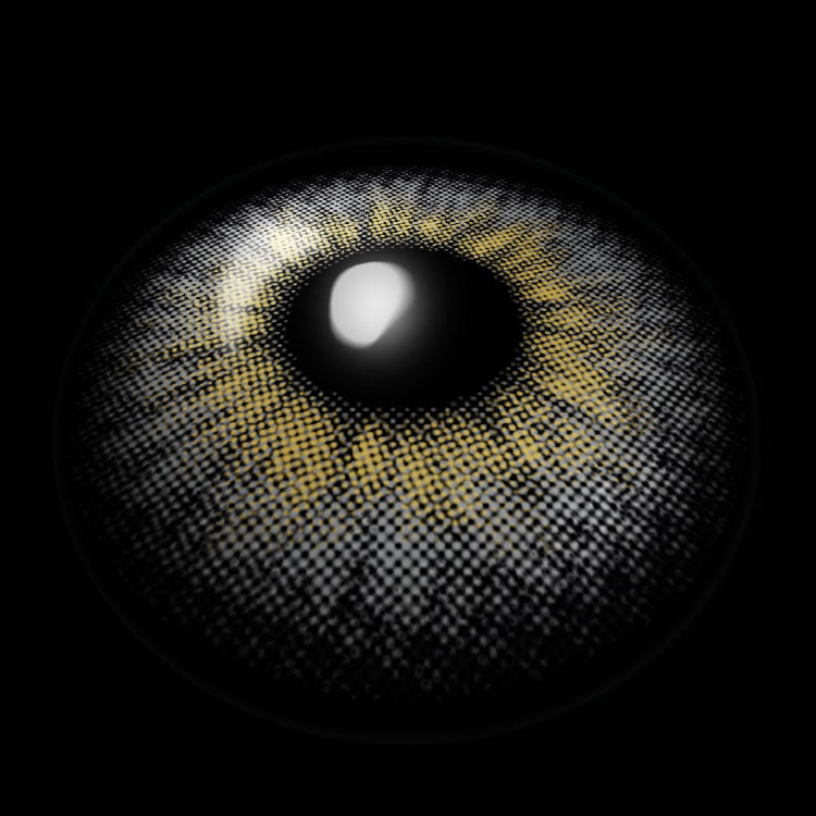 Wildness Wolf Gray | 6 Months