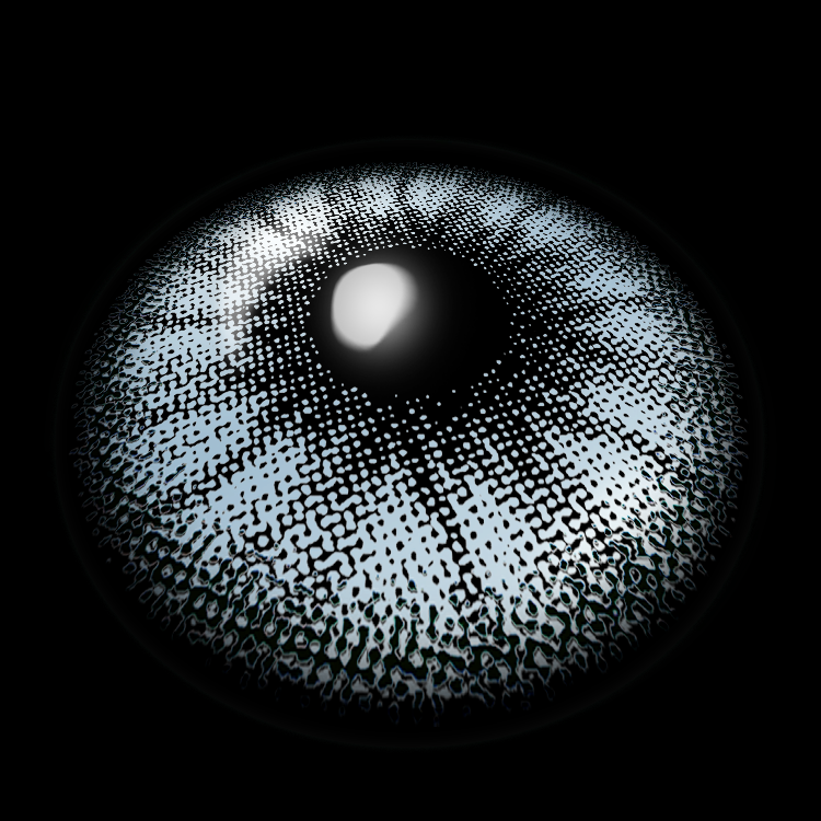 Iris Blue | 6 Months