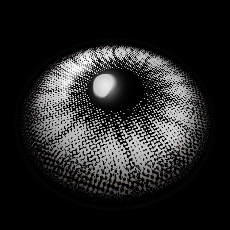 Iris Gray | 6 Months