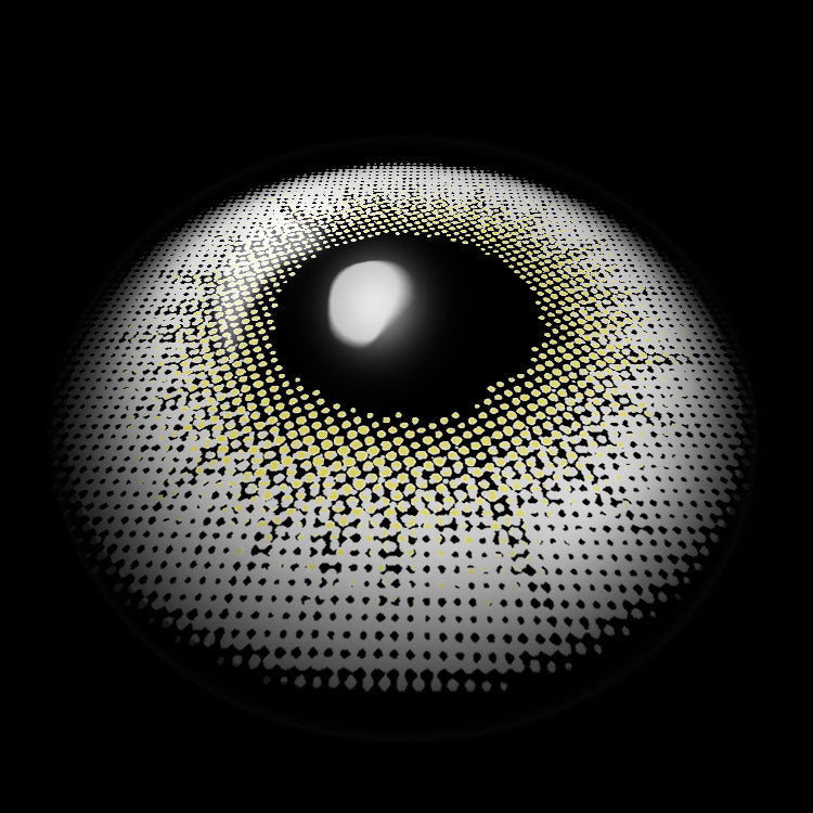 Illusion Gray | 6 Months