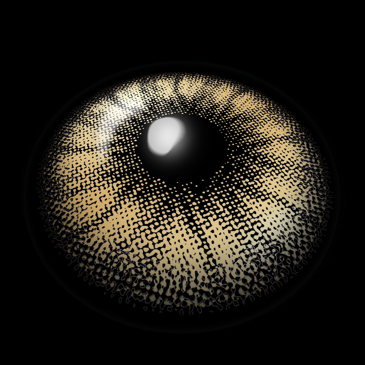 Himalaya Brown | 1 Year