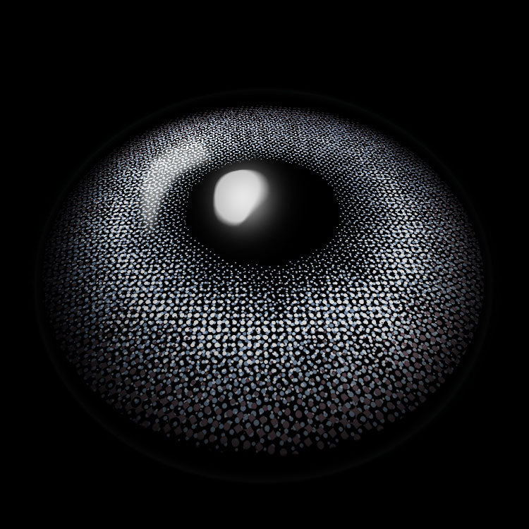 Moonbeam Blue-Gy | 6 Months