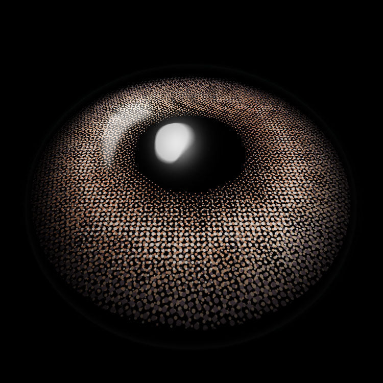 Amber Brown | 6 Months