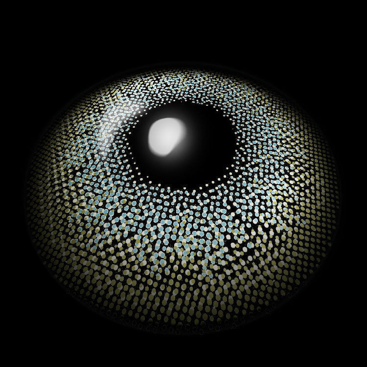 Moonbeam Green | 6 Months