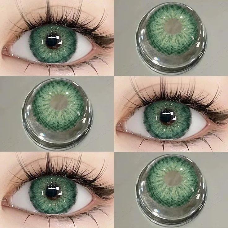 Wildcat Green | 6 Months