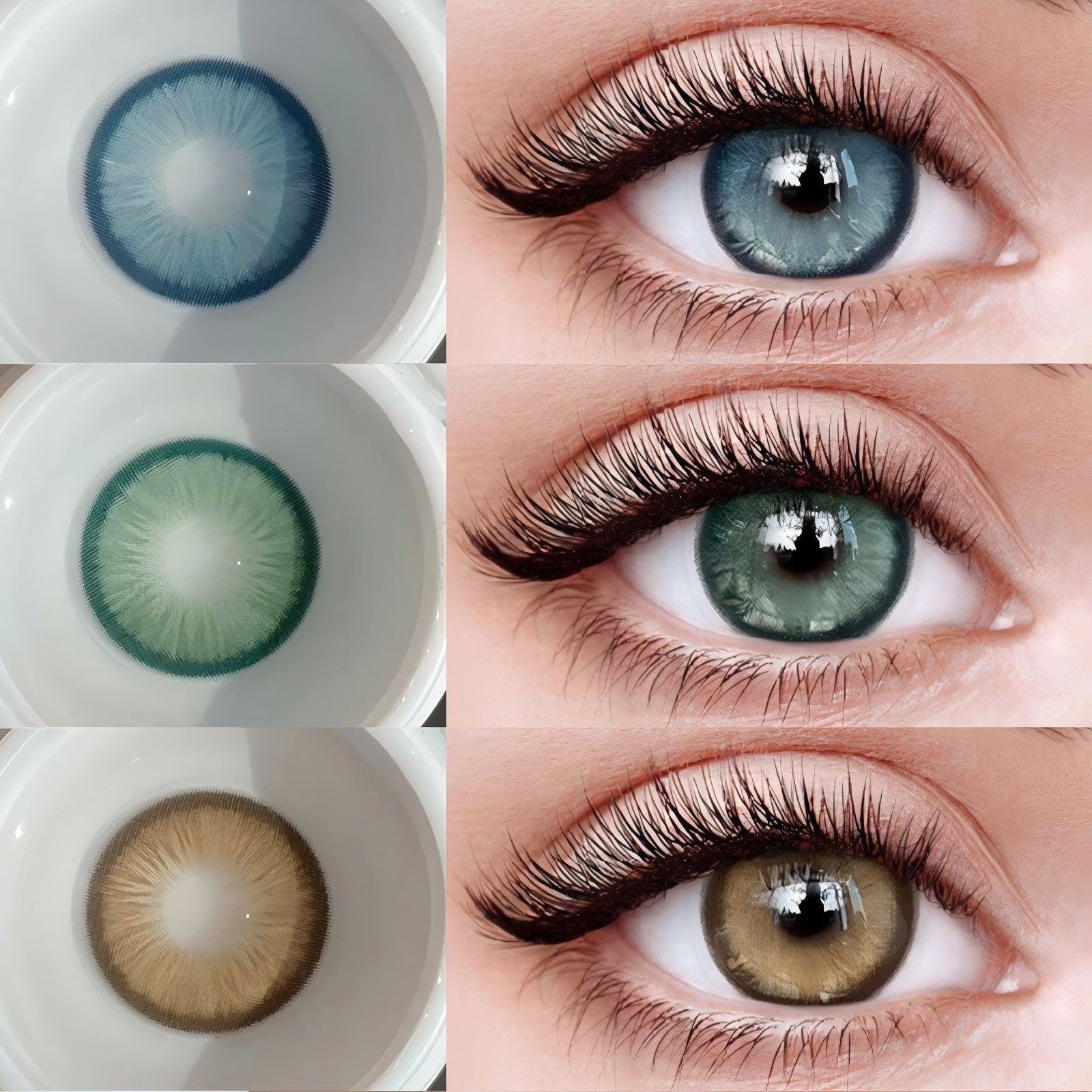 Eternity Green | 1 Year