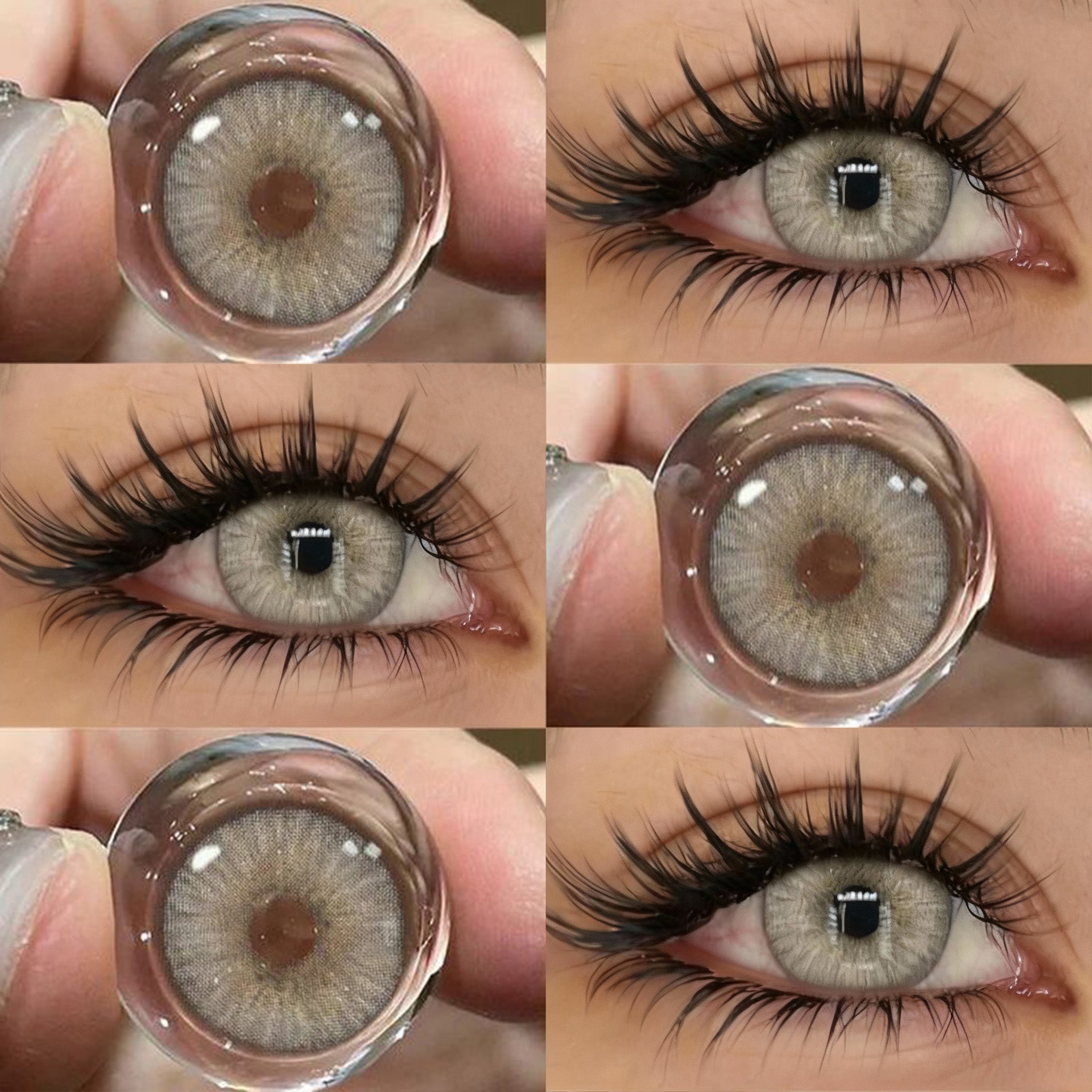 Iris Gray | 6 Months